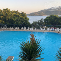 фото из отзыва ID 2205464