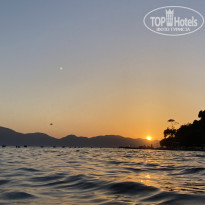 фото из отзыва ID 2205464