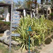 фото из отзыва ID 2208034