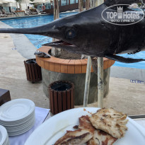 фото из отзыва ID 2208100