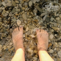 фото из отзыва ID 2208148