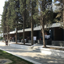 фото из отзыва ID 2208214