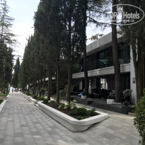 фото из отзыва ID 2208214