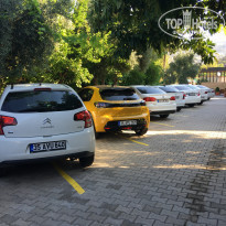 фото из отзыва ID 2208224