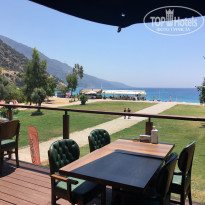 фото из отзыва ID 2208224