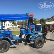 фото из отзыва ID 2208292