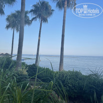 фото из отзыва ID 2208167