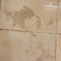 фото из отзыва ID 2208586