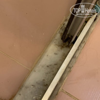 фото из отзыва ID 2208586