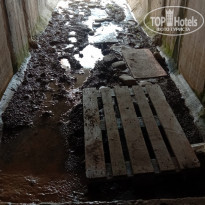 фото из отзыва ID 2208607