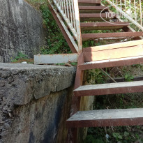 фото из отзыва ID 2208607