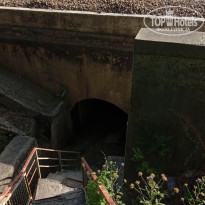 фото из отзыва ID 2208607