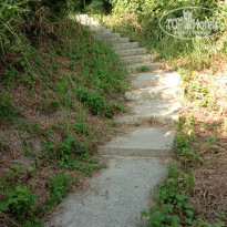 фото из отзыва ID 2208607