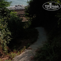 фото из отзыва ID 2208607