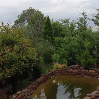 фото из отзыва ID 2208607