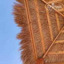 фото из отзыва ID 2208619