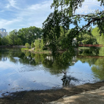 фото из отзыва ID 2208672