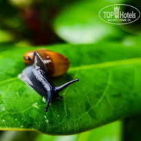 фото из отзыва ID 2208781