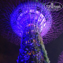 фото из отзыва ID 2208814