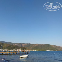 фото из отзыва ID 2208760