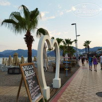 фото из отзыва ID 2208760