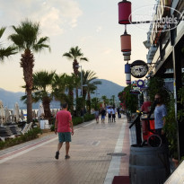 фото из отзыва ID 2208760