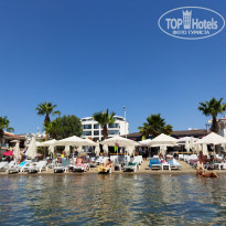 фото из отзыва ID 2208760