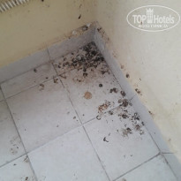 фото из отзыва ID 2208864