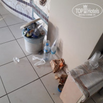 фото из отзыва ID 2208864