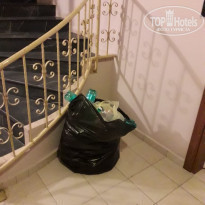 фото из отзыва ID 2208864