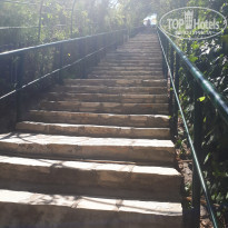 фото из отзыва ID 2208883