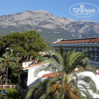 фото из отзыва ID 2208966