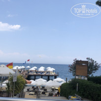 фото из отзыва ID 2208966