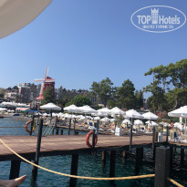 фото из отзыва ID 2208966