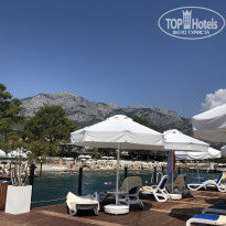 фото из отзыва ID 2208966