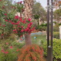 фото из отзыва ID 2208870