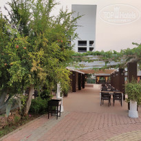 фото из отзыва ID 2208870