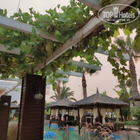 фото из отзыва ID 2208870