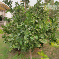 фото из отзыва ID 2208870