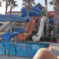 фото из отзыва ID 2208870