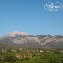 фото из отзыва ID 2209227