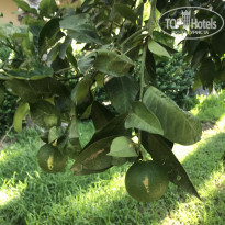 фото из отзыва ID 2209335