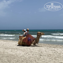 фото из отзыва ID 2209514