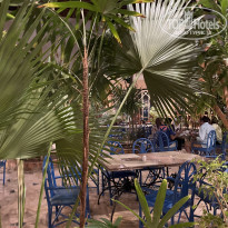 фото из отзыва ID 2209651