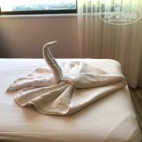 фото из отзыва ID 2209662