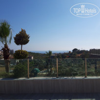 фото из отзыва ID 2209662