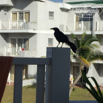 фото из отзыва ID 2209636