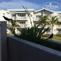 фото из отзыва ID 2209636