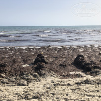 фото из отзыва ID 2209699