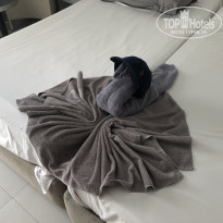 фото из отзыва ID 2209699